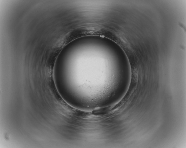X0000095880657200801111134