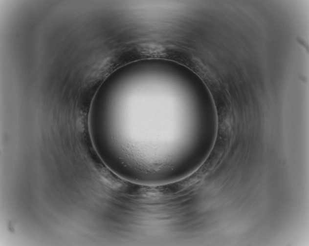 X0000095880658200801111134