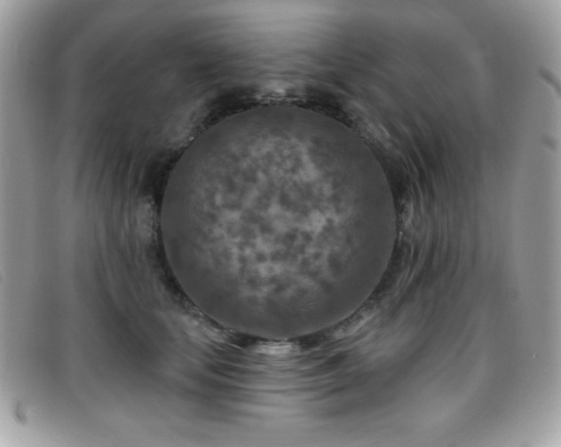 X0000095880659200801111134