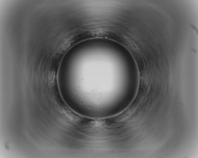 X0000095880660200801111134