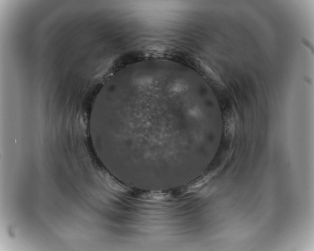 X0000095880661200801111134