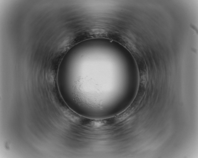 X0000095880662200801111134