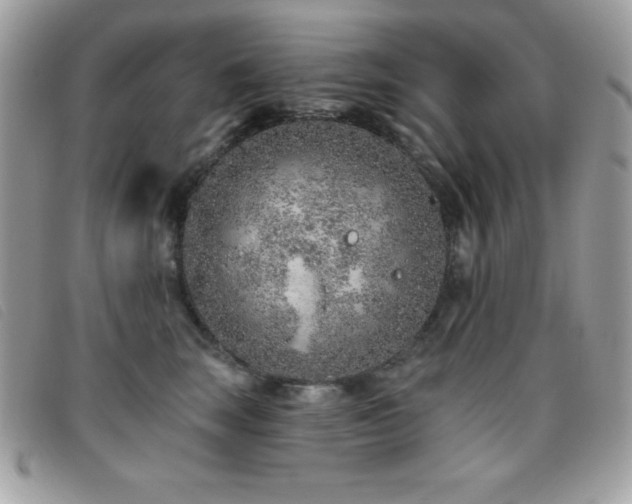 X0000095880663200801111134