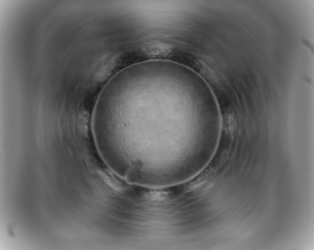 X0000095880664200801111134