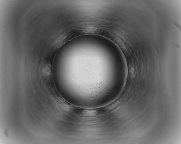X0000095880665200801111134
