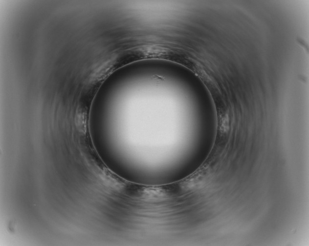 X0000095880666200801111134
