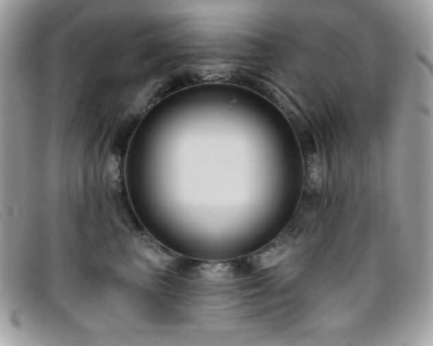X0000095880667200801111135