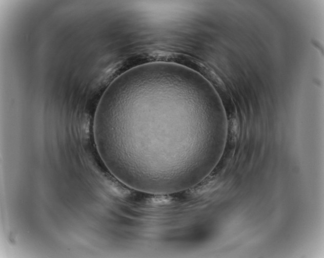 X0000095880668200801111135
