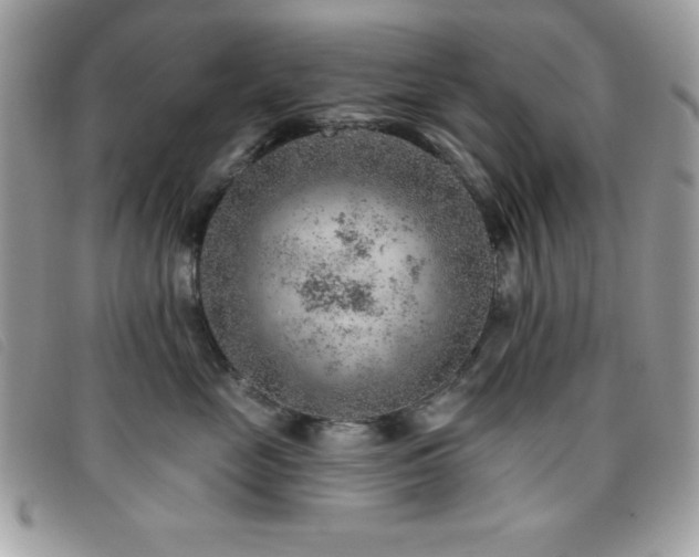 X0000095880669200801111135