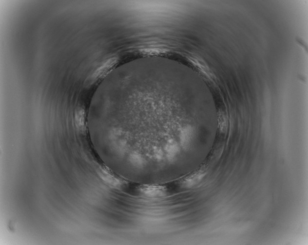 X0000095880670200801111135