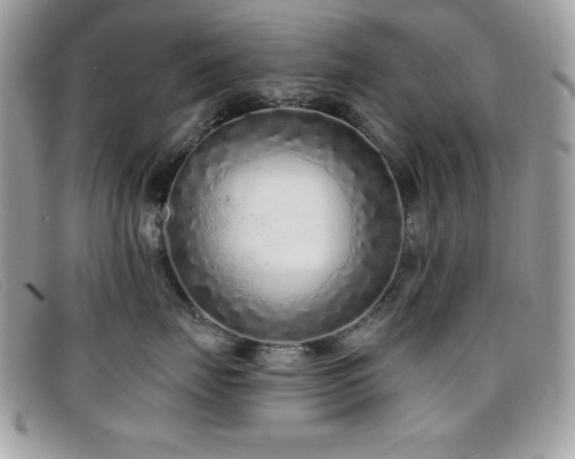 X0000095880671200801111135
