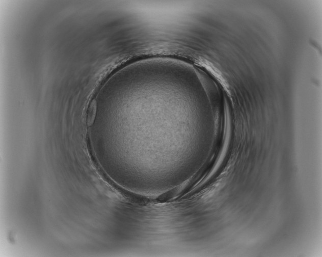 X0000095880673200801111134