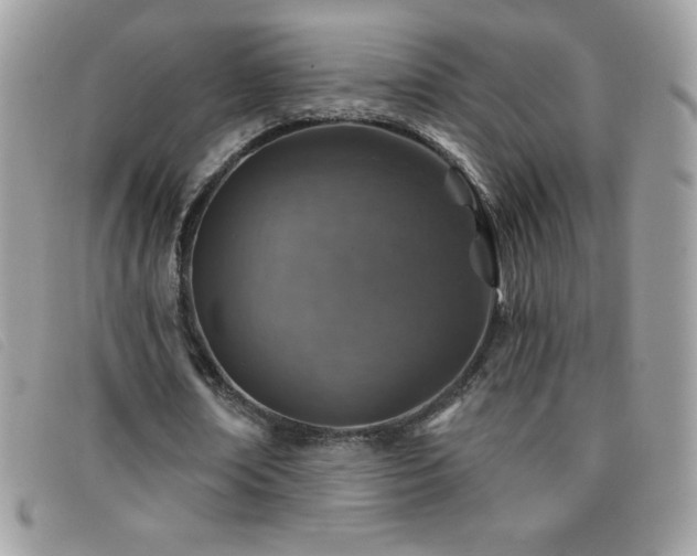 X0000095880674200801111134