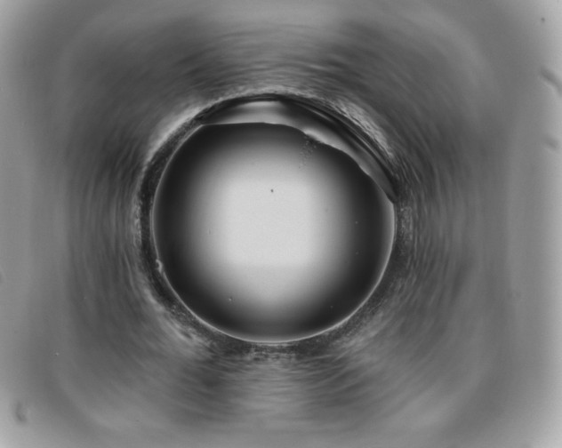 X0000095880676200801111134
