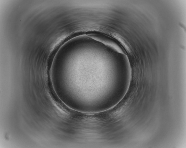 X0000095880677200801111134