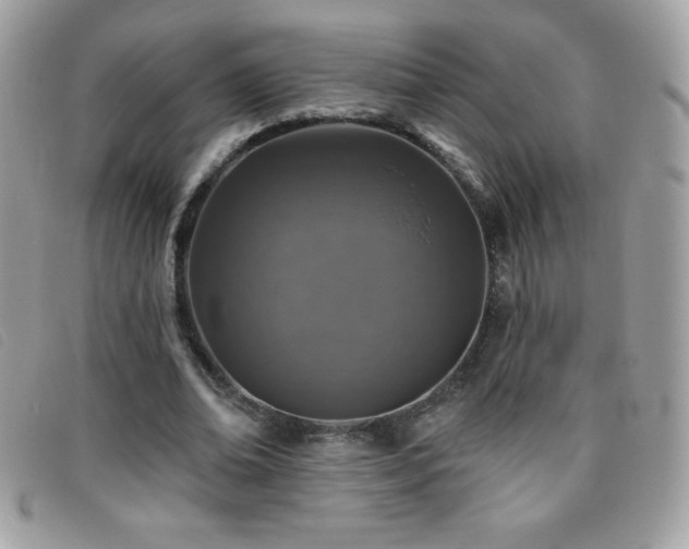 X0000095880678200801111134