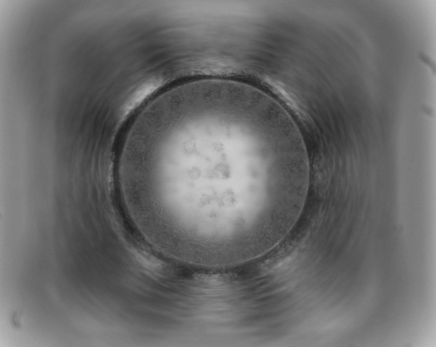 X0000095880679200801111134