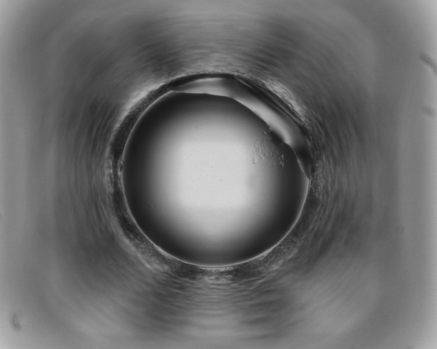 X0000095880680200801111134