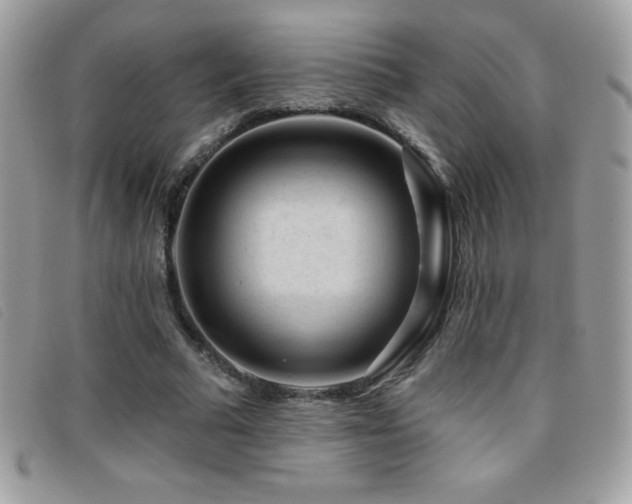 X0000095880681200801111134