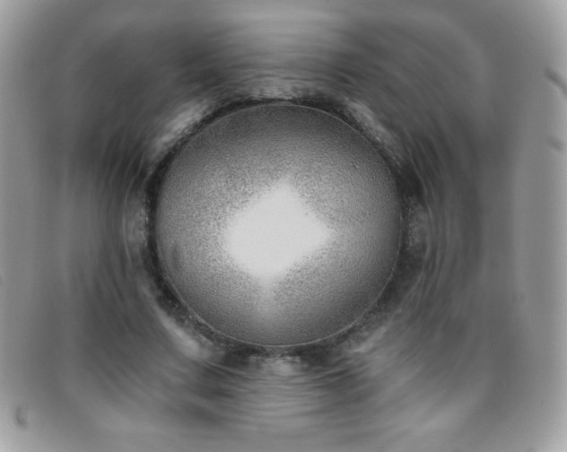 X0000095880683200801111134