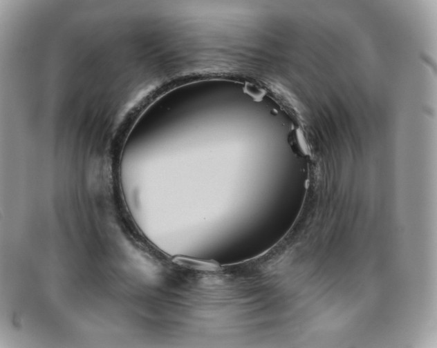 X0000095880684200801111134