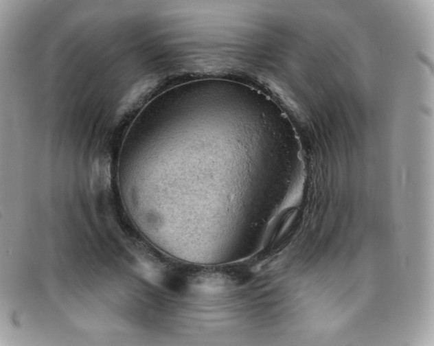 X0000095880685200801111134