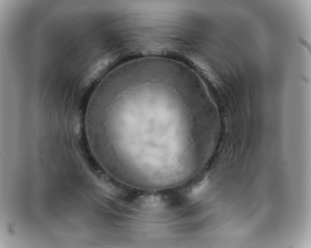 X0000095880687200801111134