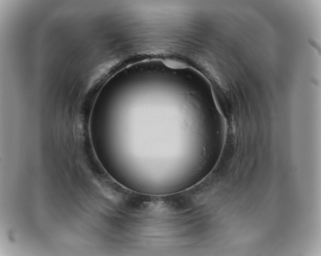 X0000095880688200801111134