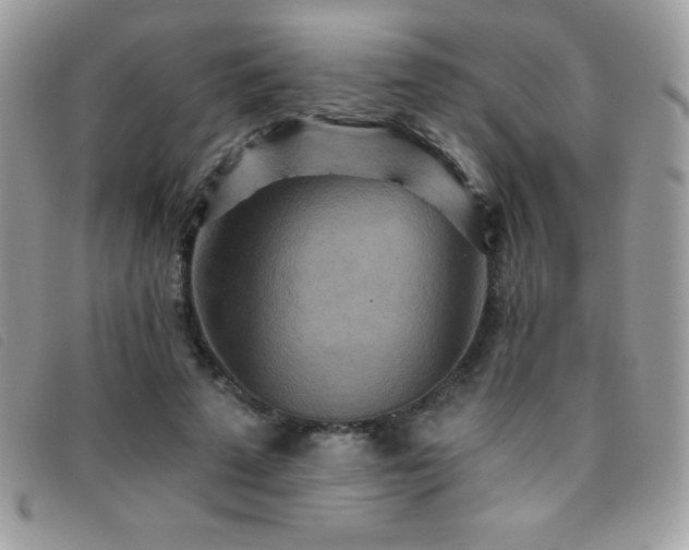 X0000095880689200801111134
