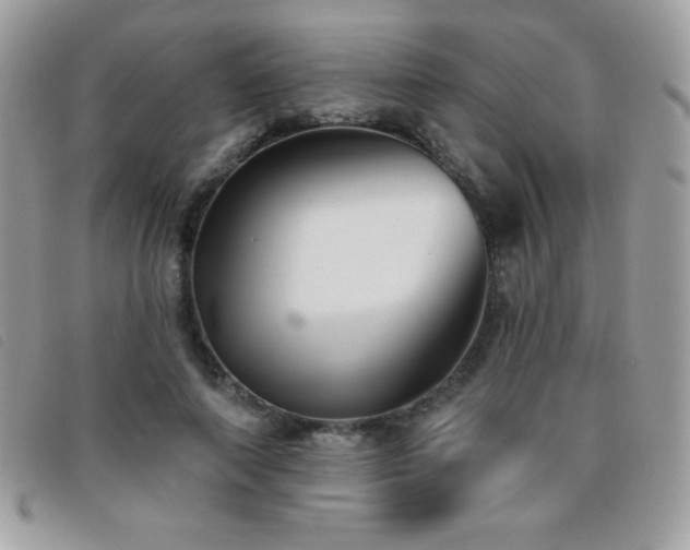 X0000095880690200801111134