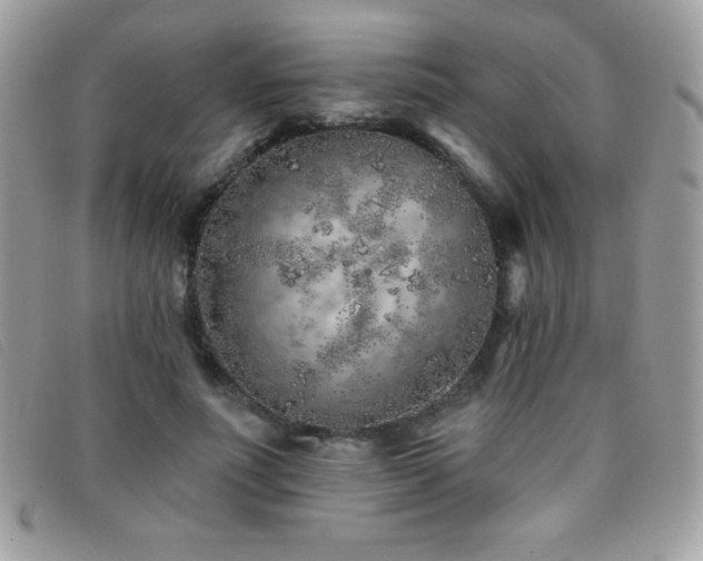 X0000095880691200801111134