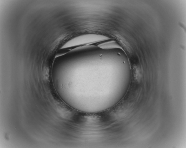 X0000095880693200801111134