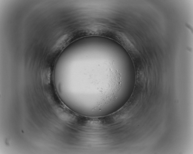 X0000095880694200801111134