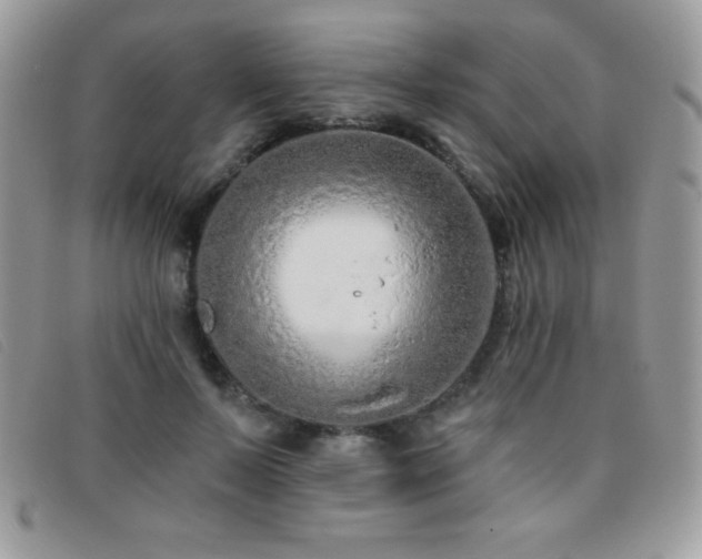 X0000095880695200801111134