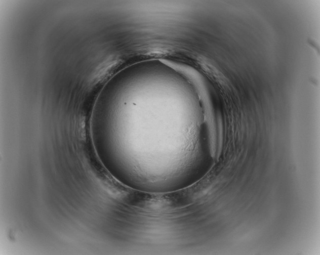 X0000095880696200801111134