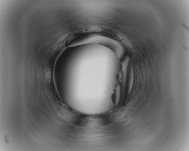 X0000095880697200801111134