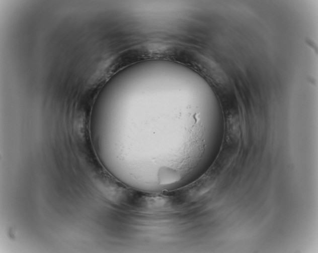 X0000095880698200801111134