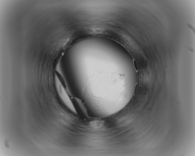 X0000095880700200801111134
