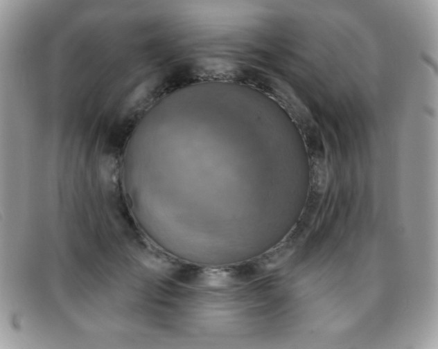 X0000095880701200801111134