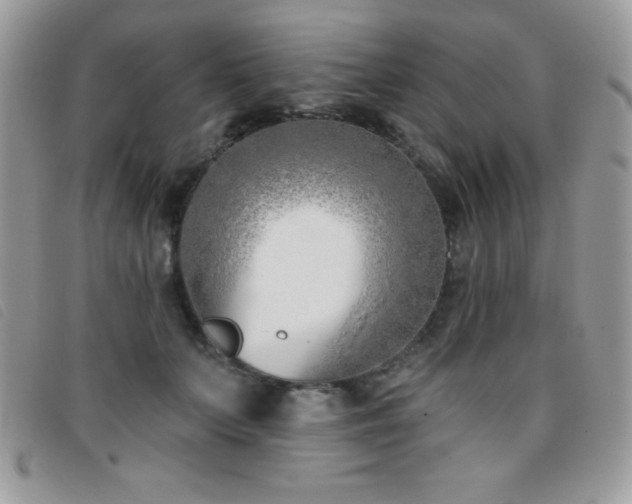 X0000095880703200801111134