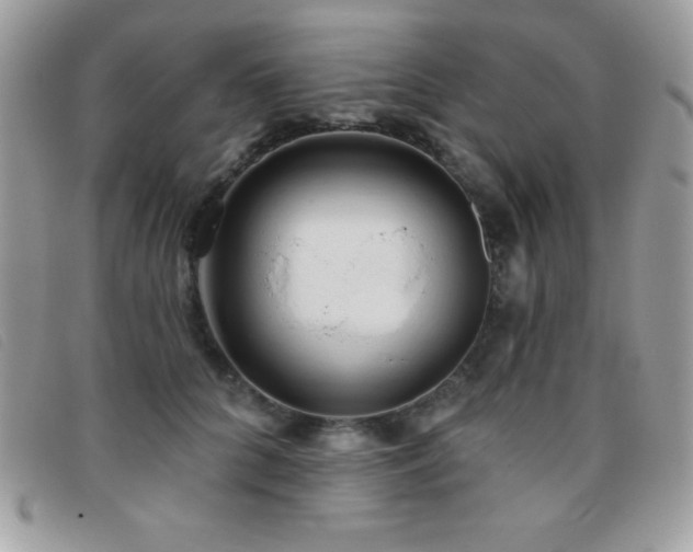 X0000095880704200801111133