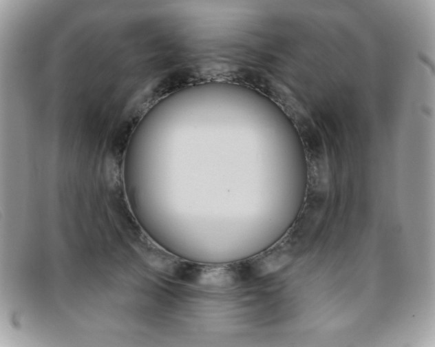 X0000095880705200801111133