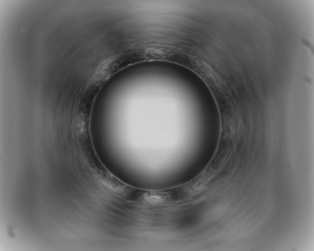 X0000095880706200801111133