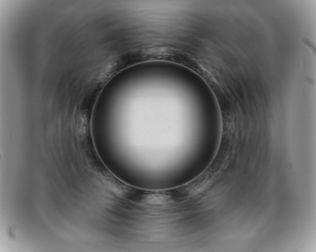 X0000095880708200801111133
