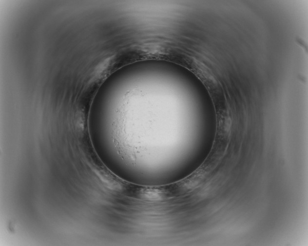 X0000095880710200801111133