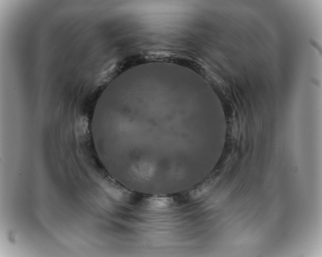 X0000095880711200801111133