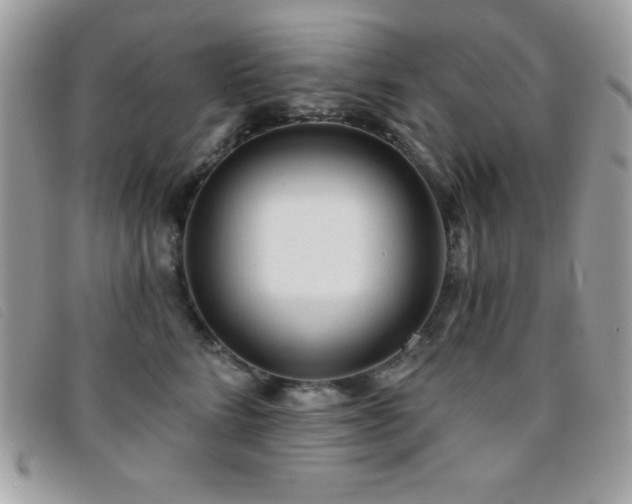 X0000095880712200801111133