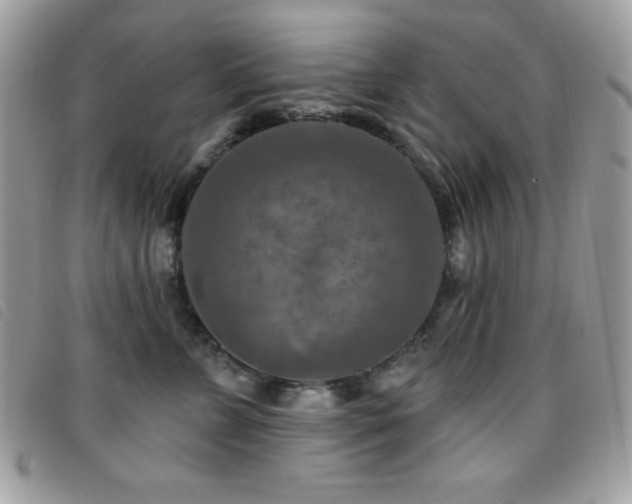 X0000095880715200801111133