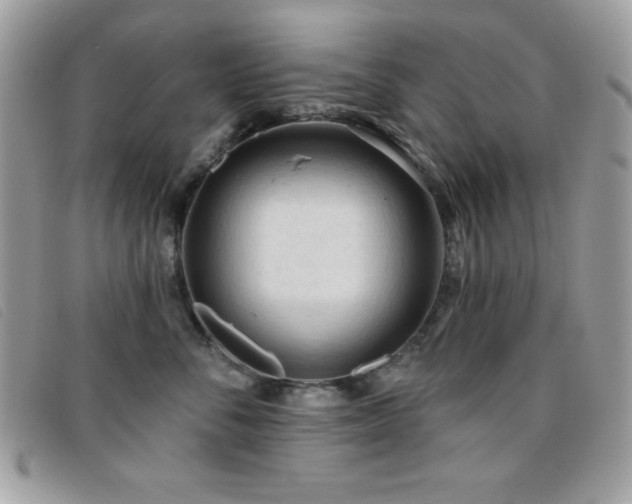 X0000095880716200801111133