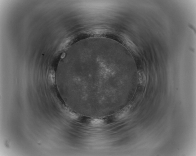 X0000095880718200801111133